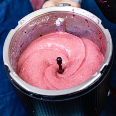 Fruity Dream Healthy Sorbet with Thermomix